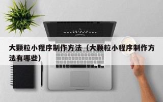 菏泽大颗粒小程序制作方法（大颗粒小程序制作方法有哪些）