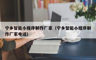 菏泽宁乡智能小程序制作厂家（宁乡智能小程序制作厂家电话）