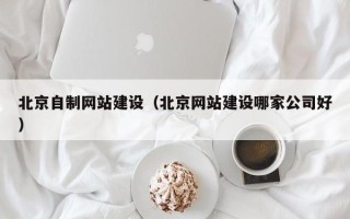 菏泽北京自制网站建设（北京网站建设哪家公司好）