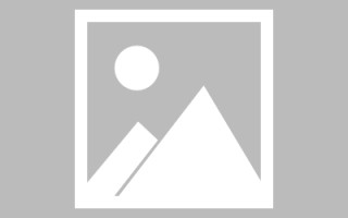 菏泽关于网站建设免费（关于网站建设免费的通知）